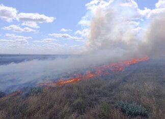 З початку липня ще понад 900 га степу згоріла в окупованому заповіднику «Асканія-Нова» на Херсонщині