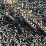 Через аномальні погодні умови та пожежі фермери втратили 50 тис. га озимих зернових