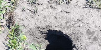 Небезпечне природне явище зафіксували в полі Високопільської громади