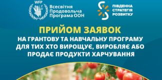 Жителі Великоолександрівської громади можуть отримати мікрогрант на власну справу