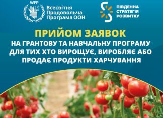 Жителі Великоолександрівської громади можуть отримати мікрогрант на власну справу