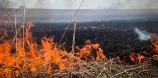 Російська агресія завдала понад 720 мільярдів гривень збитків природно-заповідному фонду Херсонщини
