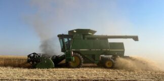 Як змінились клімат і врожаї на Херсонщині через підрив Каховської ГЕС