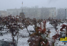 Узимку на Херсонщину чекають температурні “гойдалки”