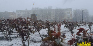 Узимку на Херсонщину чекають температурні “гойдалки”