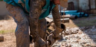 У Великоолександрівській громаді відновили стабільне водопостачання