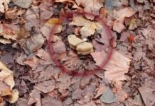 Російські окупанти почали частіше дистанційно мінувати вулиці Херсона