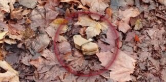 Російські окупанти почали частіше дистанційно мінувати вулиці Херсона