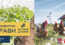 Жителі трьох громад Херсонщини можуть отримати грант на власну справу