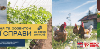 Жителі трьох громад Херсонщини можуть отримати грант на власну справу