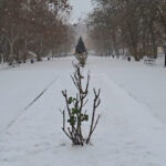 У Херсоні випав перший сніг (відео)