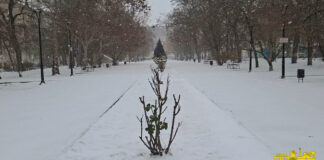 У Херсоні випав перший сніг (відео)