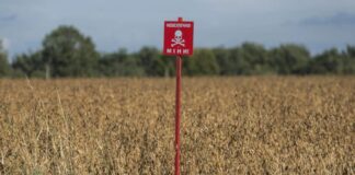 Фермер з Херсонщини отримав компенсацію від держави за розмінування власних полів