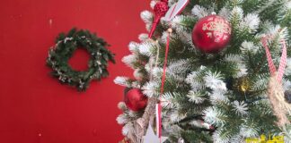 Скільки грошей витратили з бюджету Херсонської громади на різдвяно-новорічні свята