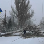 У Херсоні дороги чистять від снігу і повалених дерев