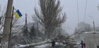 У Херсоні дороги чистять від снігу і повалених дерев