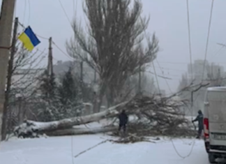 У Херсоні дороги чистять від снігу і повалених дерев