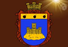 У Тягинській громаді триває громадське обговорення проєкту Статуту