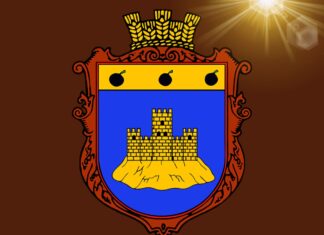 У Тягинській громаді триває громадське обговорення проєкту Статуту