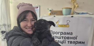 На Херсонщині благодійники безкоштовно стерилізують безпритульних тварин