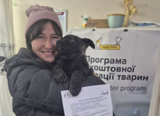 На Херсонщині благодійники безкоштовно стерилізують безпритульних тварин