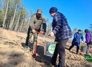 На Херсонщині вперше з початку повномасштабного вторгнення відроджують ліси