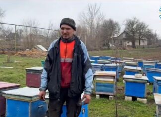 Благодійники допомогли відновити пасіку у Малій Олександрівці