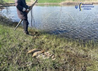 Браконьєри на Херсонщині наловили риби на понад 350 тисяч