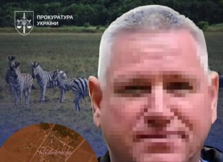 Окупаційного директора заповідника “Асканія-Нова” засудили до 15 років