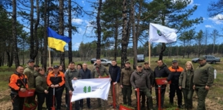 Херсонщина заліснює місця запеклих боїв