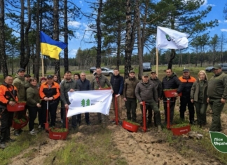 Херсонщина заліснює місця запеклих боїв