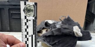 У Херсоні виявили новий вид російських мін