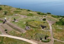 Державі повернули майже 100 га земель Нацпарку «Кам’янська Січ»