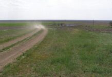 У Генічеському районі російські окупанти хочуть створити заказник, який вже існує