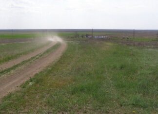 У Генічеському районі російські окупанти хочуть створити заказник, який вже існує