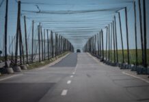 Уряд виділив 96 мільйонів на антидронові сітки для Херсонщини