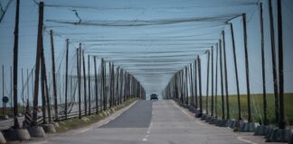 Уряд виділив 96 мільйонів на антидронові сітки для Херсонщини