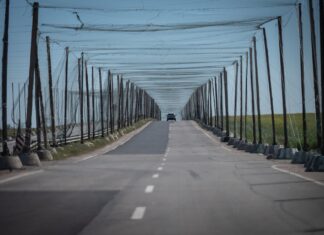 Уряд виділив 96 мільйонів на антидронові сітки для Херсонщини