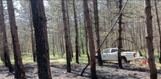 Через російський обстріл на Херсонщині загорівся ліс