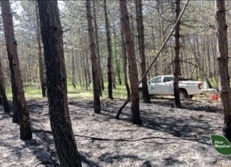 Через російський обстріл на Херсонщині загорівся ліс
