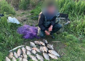 У заповідній зоні Херсонщини браконьєри наловили риби на понад 380 тисяч