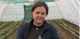 Як грант допоміг херсонській вчительці заснувати власний овочевий бізнес