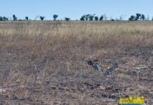 На Херсонщині фіктивно розмінували поля на десятки мільйонів гривень