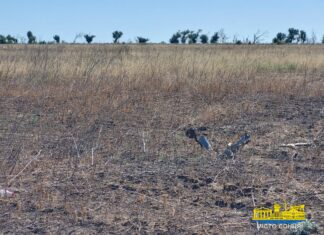 На Херсонщині фіктивно розмінували поля на десятки мільйонів гривень