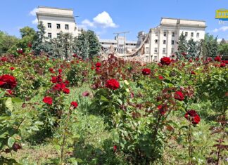 У зраненому Херсоні квітнуть троянди (фото, відео)
