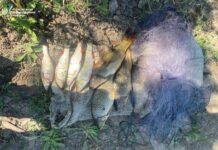 У Херсонській області триває боротьба з браконьєрами