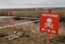 Гуманітарна організація Norwegian People’s Aid призупиняє розмінування в Україні після загибелі співробітників на Херсонщині