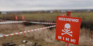 Гуманітарна організація Norwegian People’s Aid призупиняє розмінування в Україні після загибелі співробітників на Херсонщині