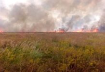 В окупованій “Асканія-Нова” горів заповідний степ