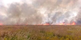 В окупованій “Асканія-Нова” горів заповідний степ
